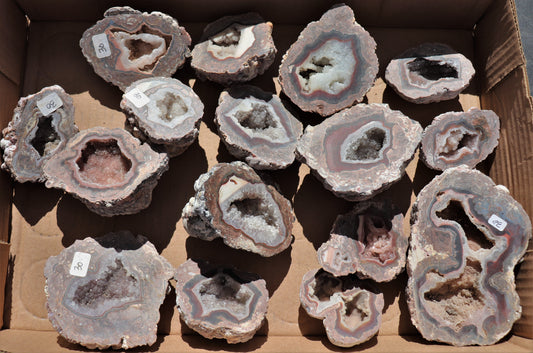 16 count flat of $30 Baker Ranch thunderegg halves