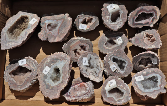 16 count flat of $30 Baker Ranch thunderegg halves