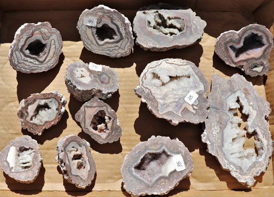 12 count flat of $35 Baker Ranch thunderegg halves