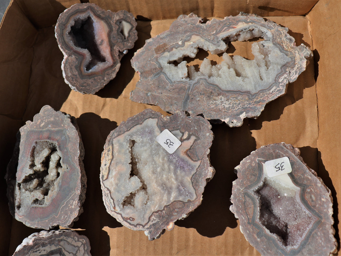 12 count flat of $35 Baker Ranch thunderegg halves