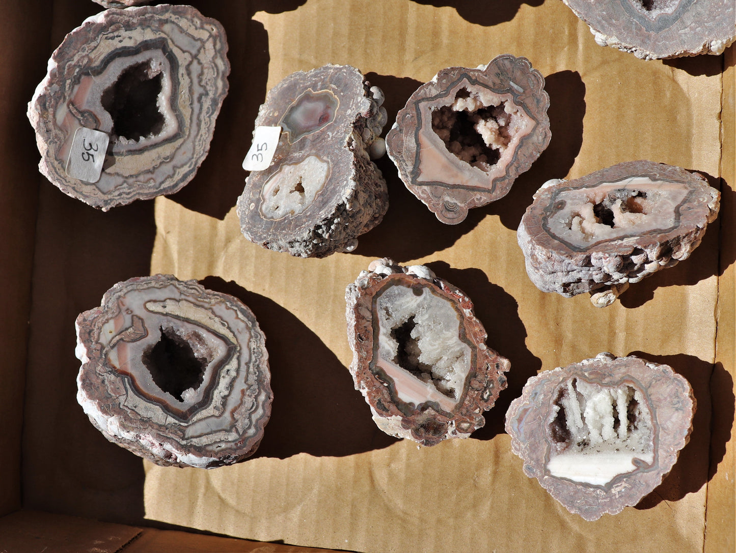 12 count flat of $35 Baker Ranch thunderegg halves