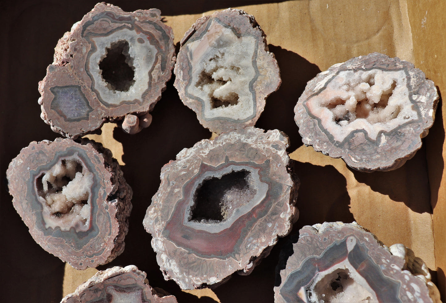 14 count flat of $35 Baker Ranch thunderegg halves