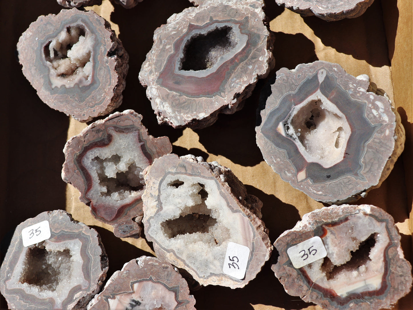 14 count flat of $35 Baker Ranch thunderegg halves