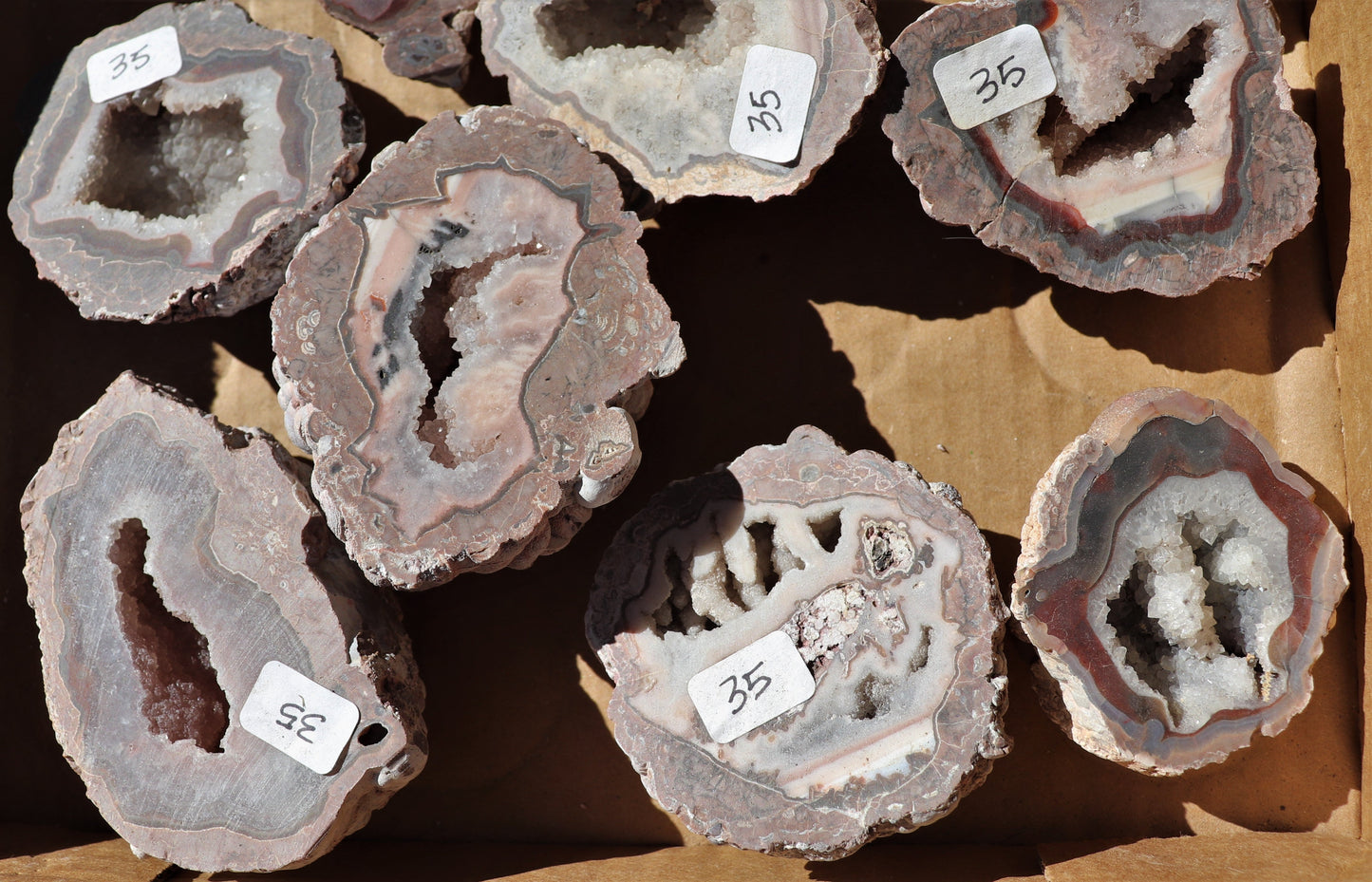 14 count flat of $35 Baker Ranch thunderegg halves