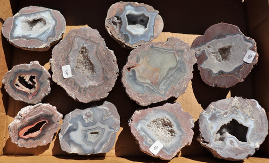 10 count flat of $40 Deming thunderegg halves