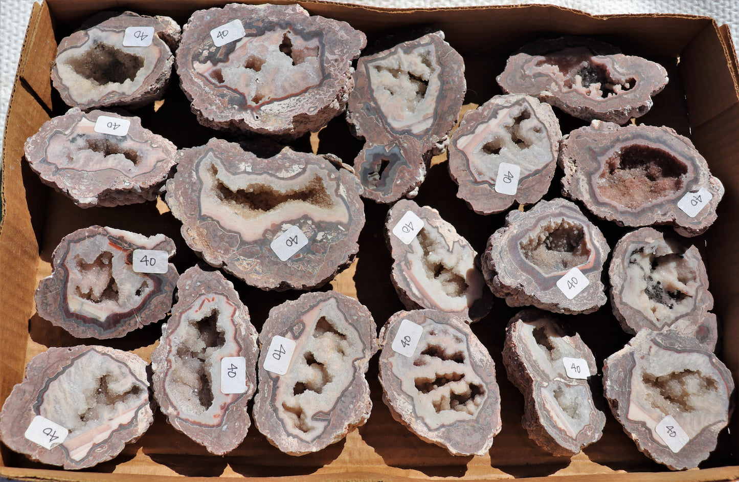 18 count flat of $40 Baker Ranch thunderegg halves