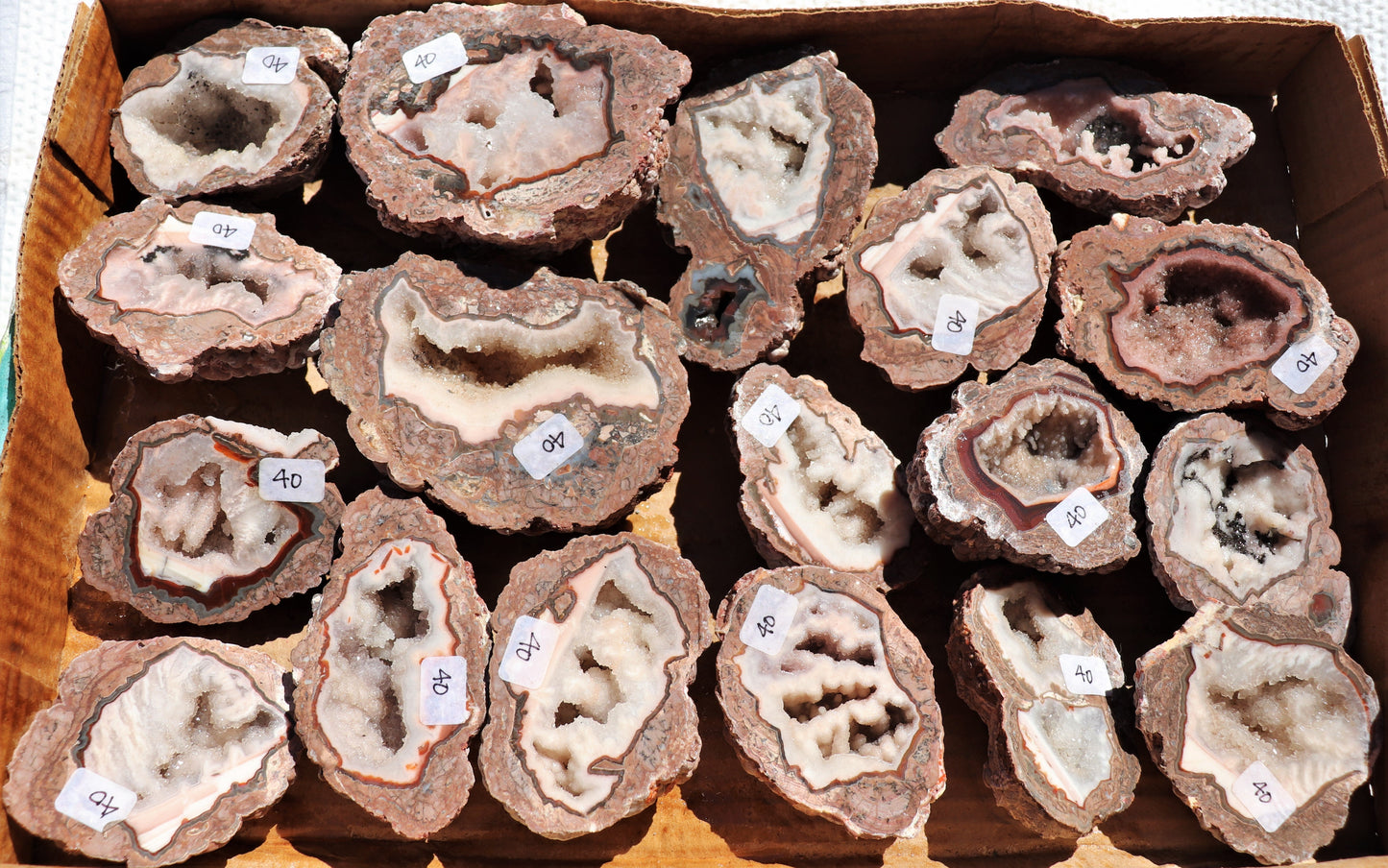 18 count flat of $40 Baker Ranch thunderegg halves