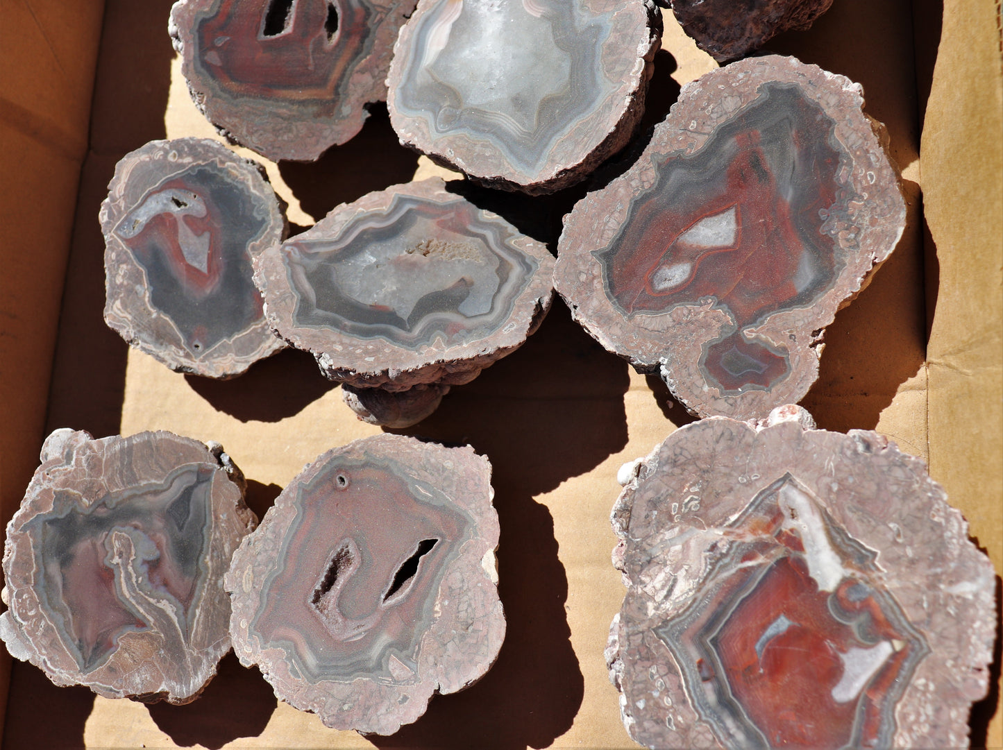 12 count flat of $40 Deming thunderegg halves