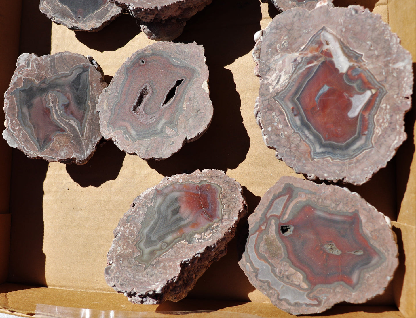 12 count flat of $40 Deming thunderegg halves