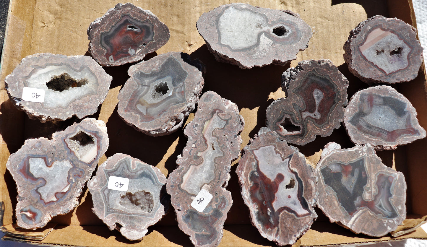 12 count flat of $40 Deming thunderegg halves