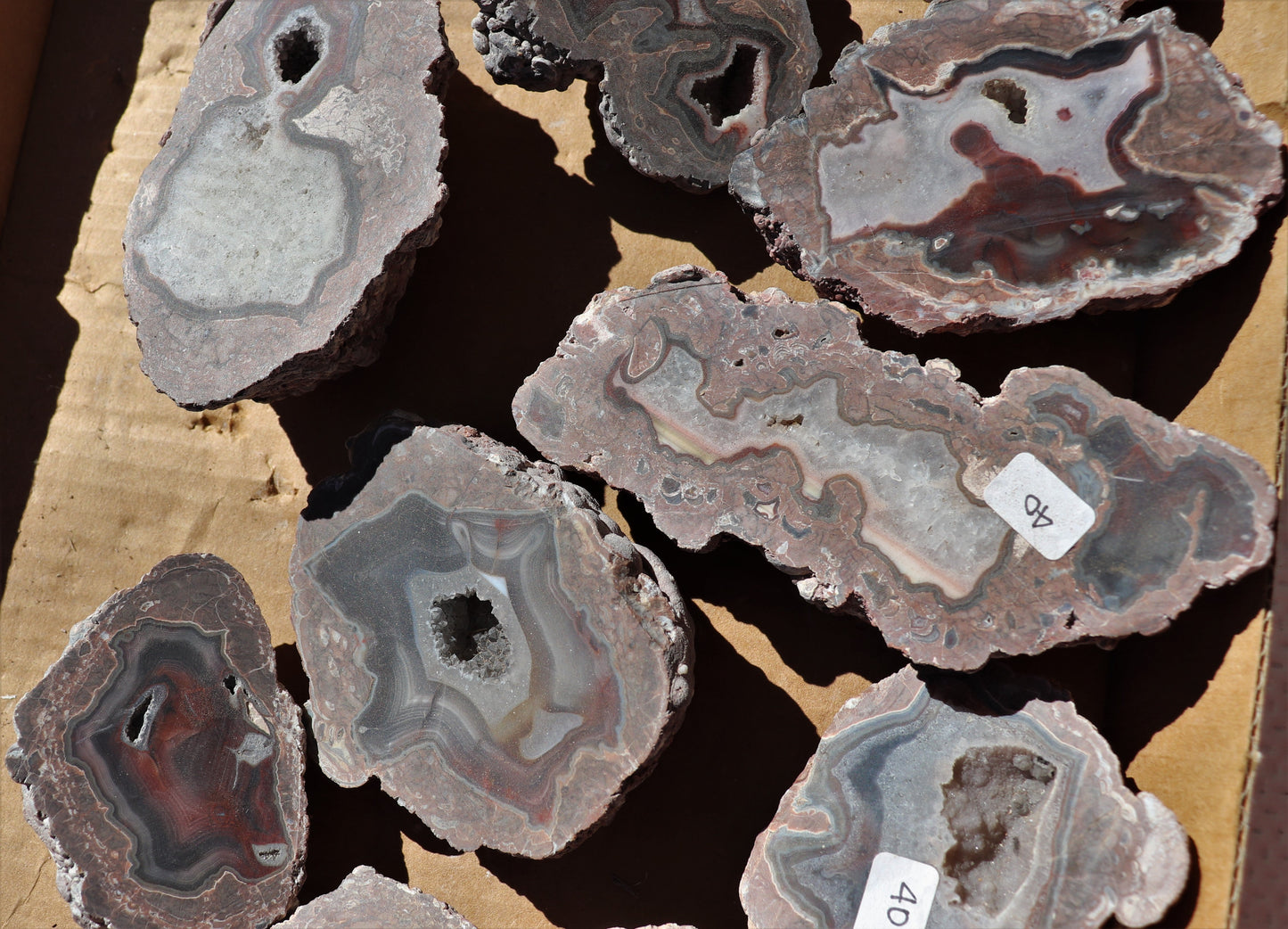 12 count flat of $40 Deming thunderegg halves