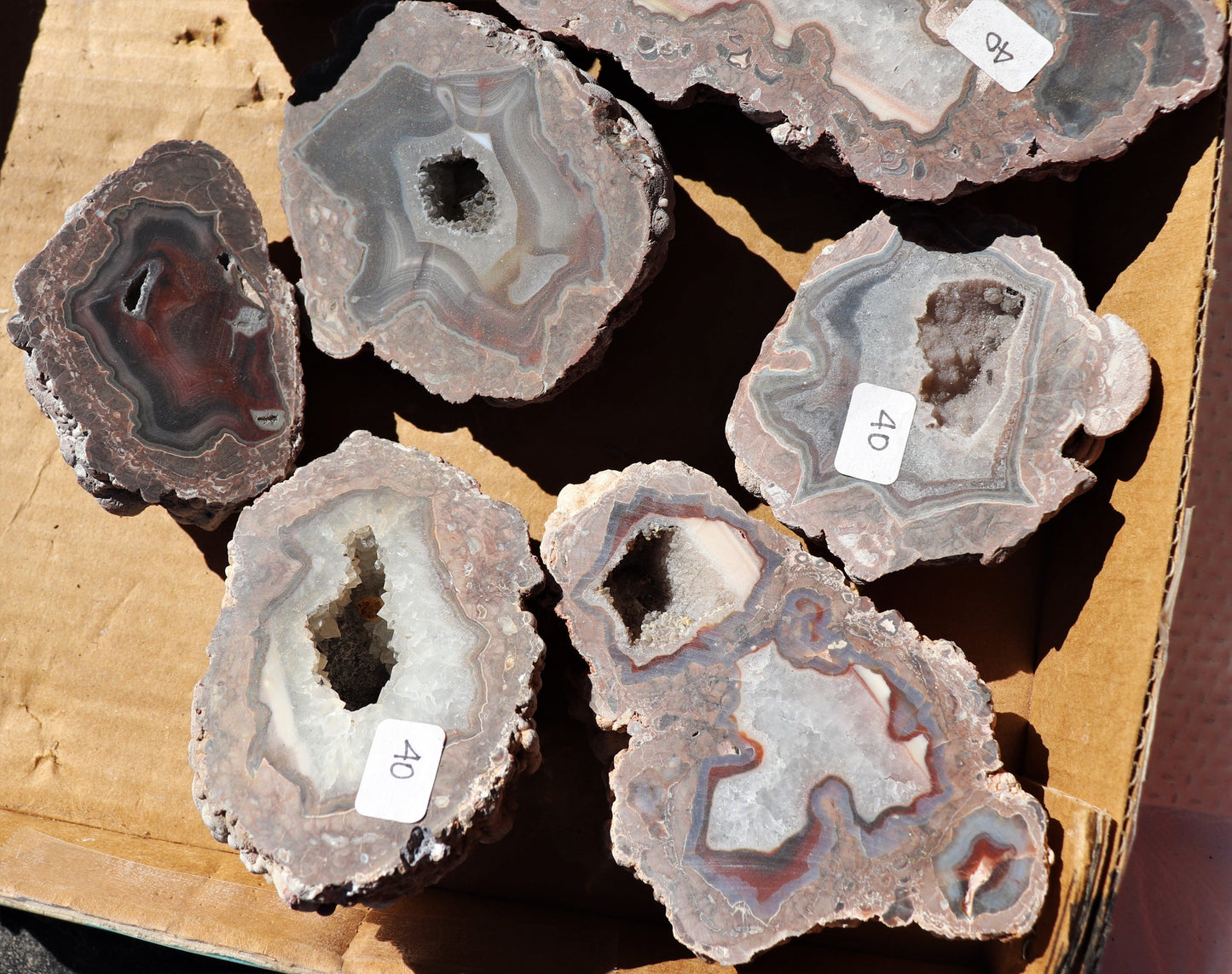 12 count flat of $40 Deming thunderegg halves