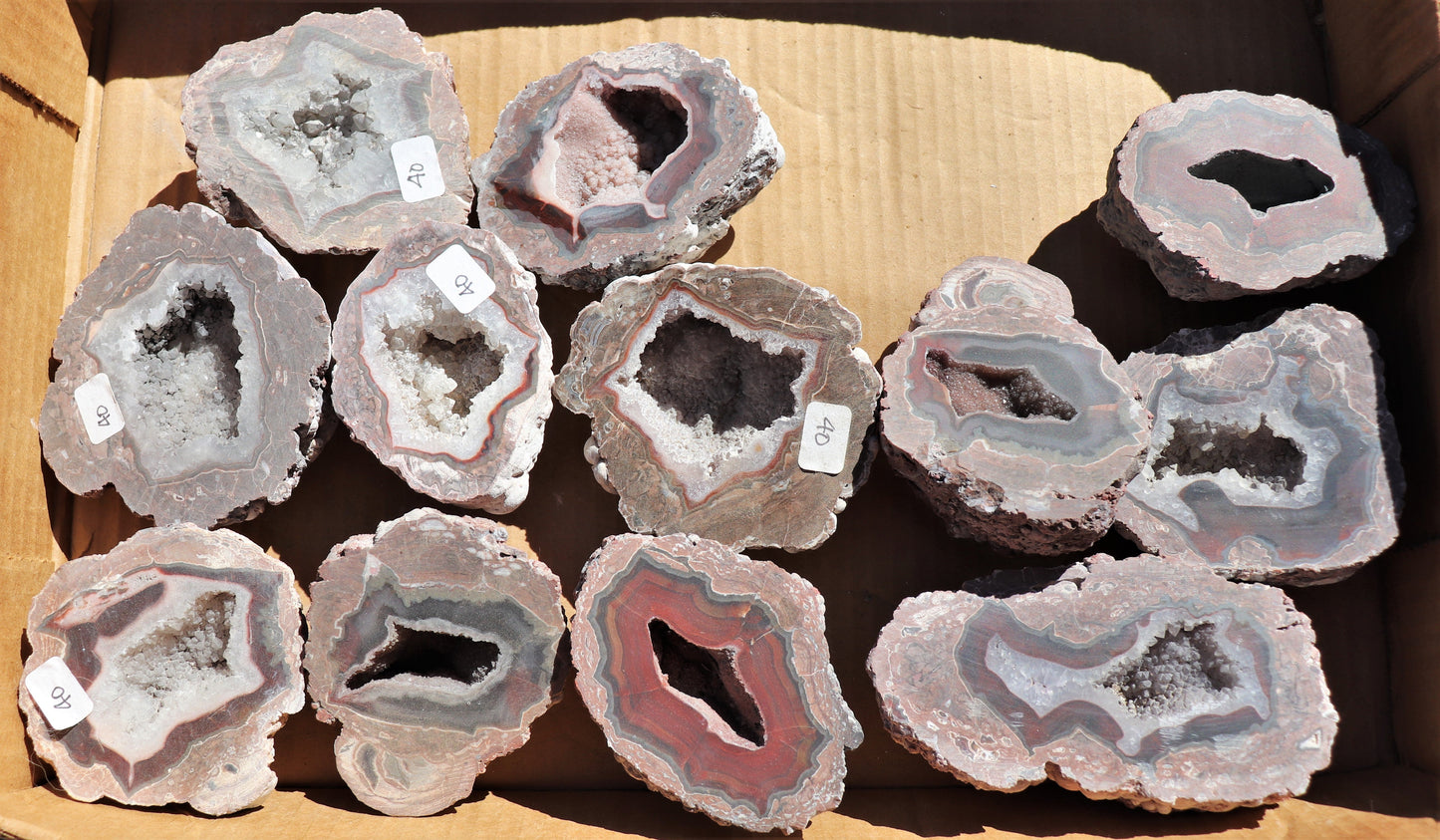 12 count flat of $40 Deming thunderegg halves