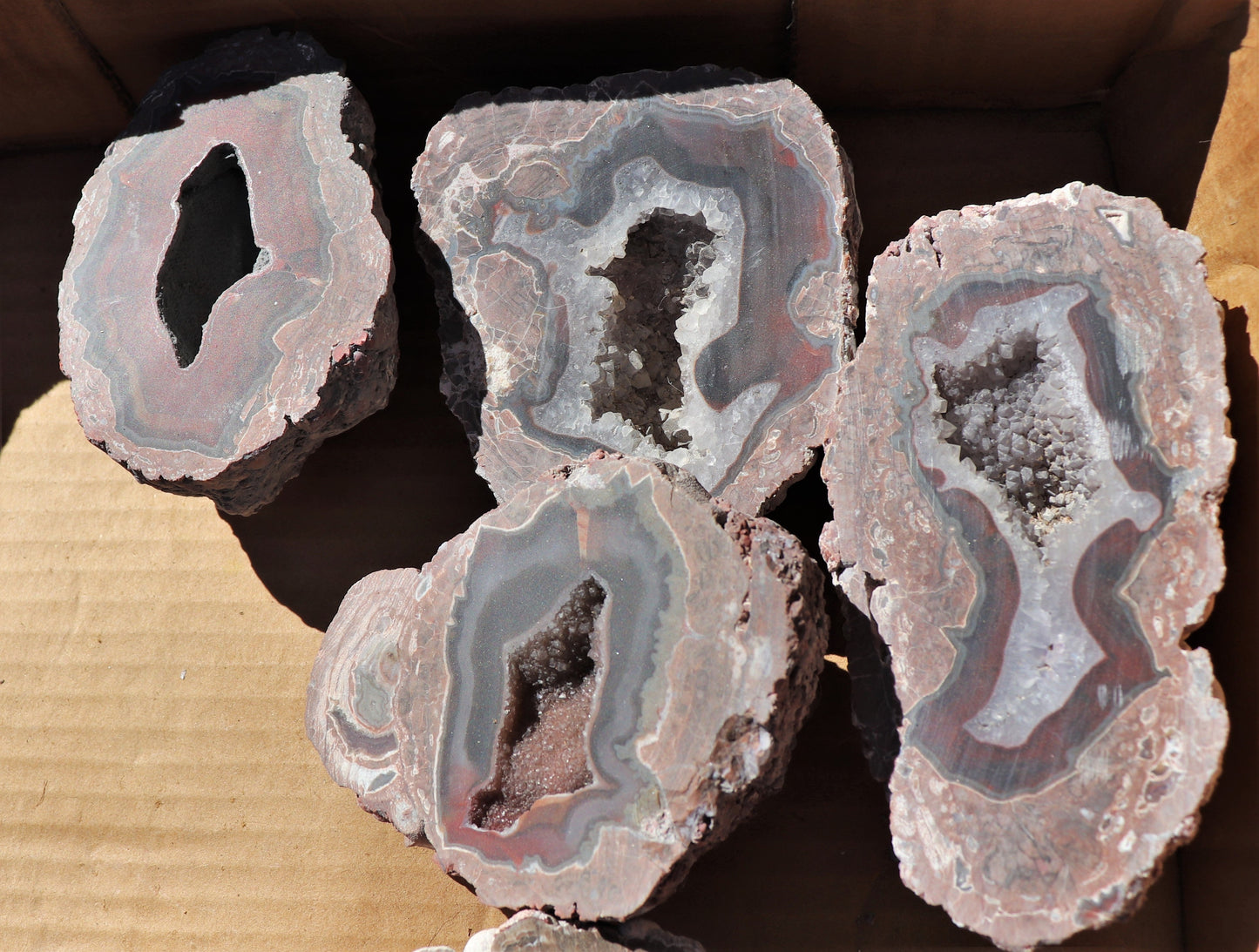 12 count flat of $40 Deming thunderegg halves