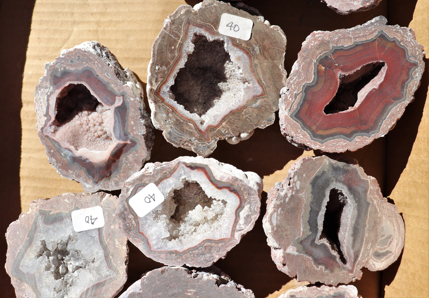 12 count flat of $40 Deming thunderegg halves