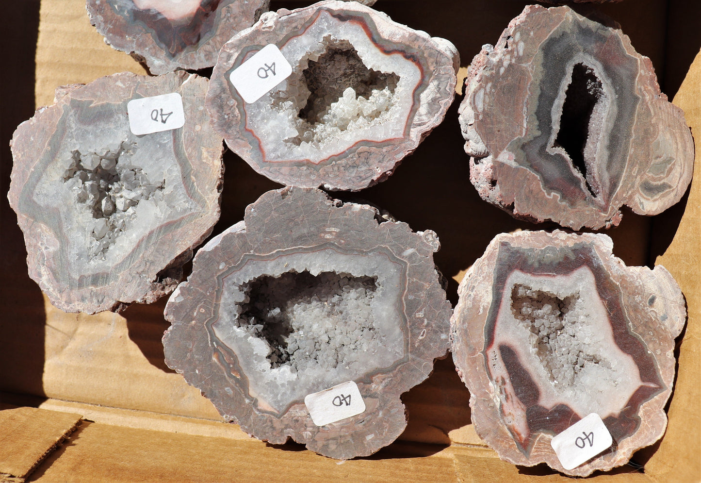 12 count flat of $40 Deming thunderegg halves