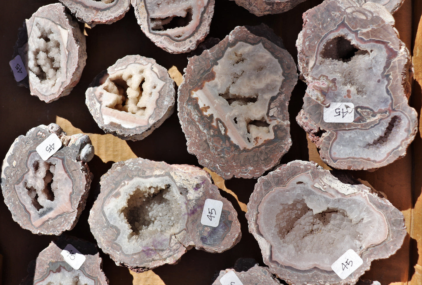 16 count flat of $45 Baker Ranch thunderegg halves