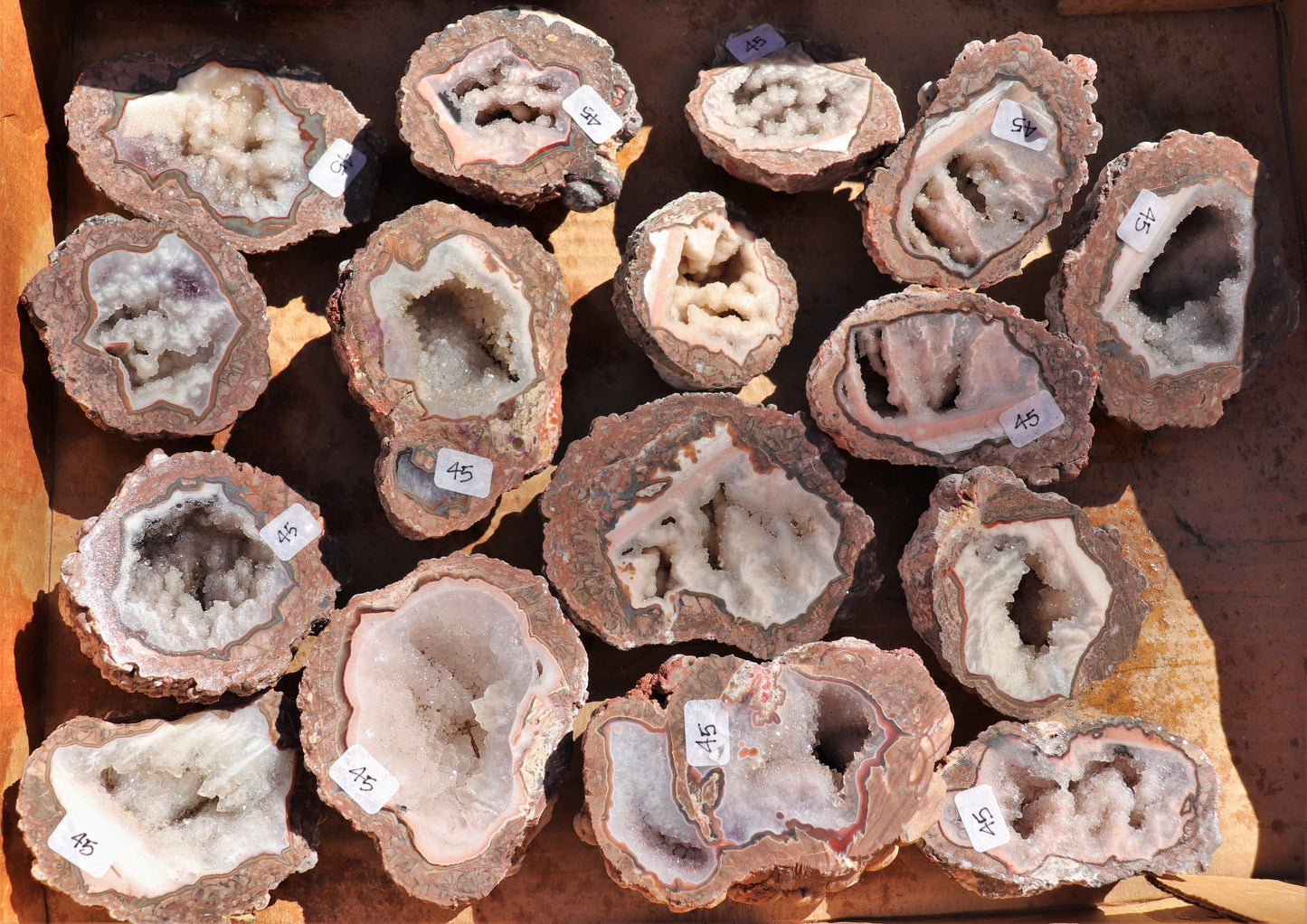 16 count flat of $45 Baker Ranch thunderegg halves