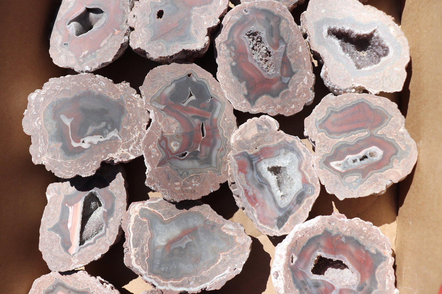 18 count flat of $45 Deming thunderegg halves