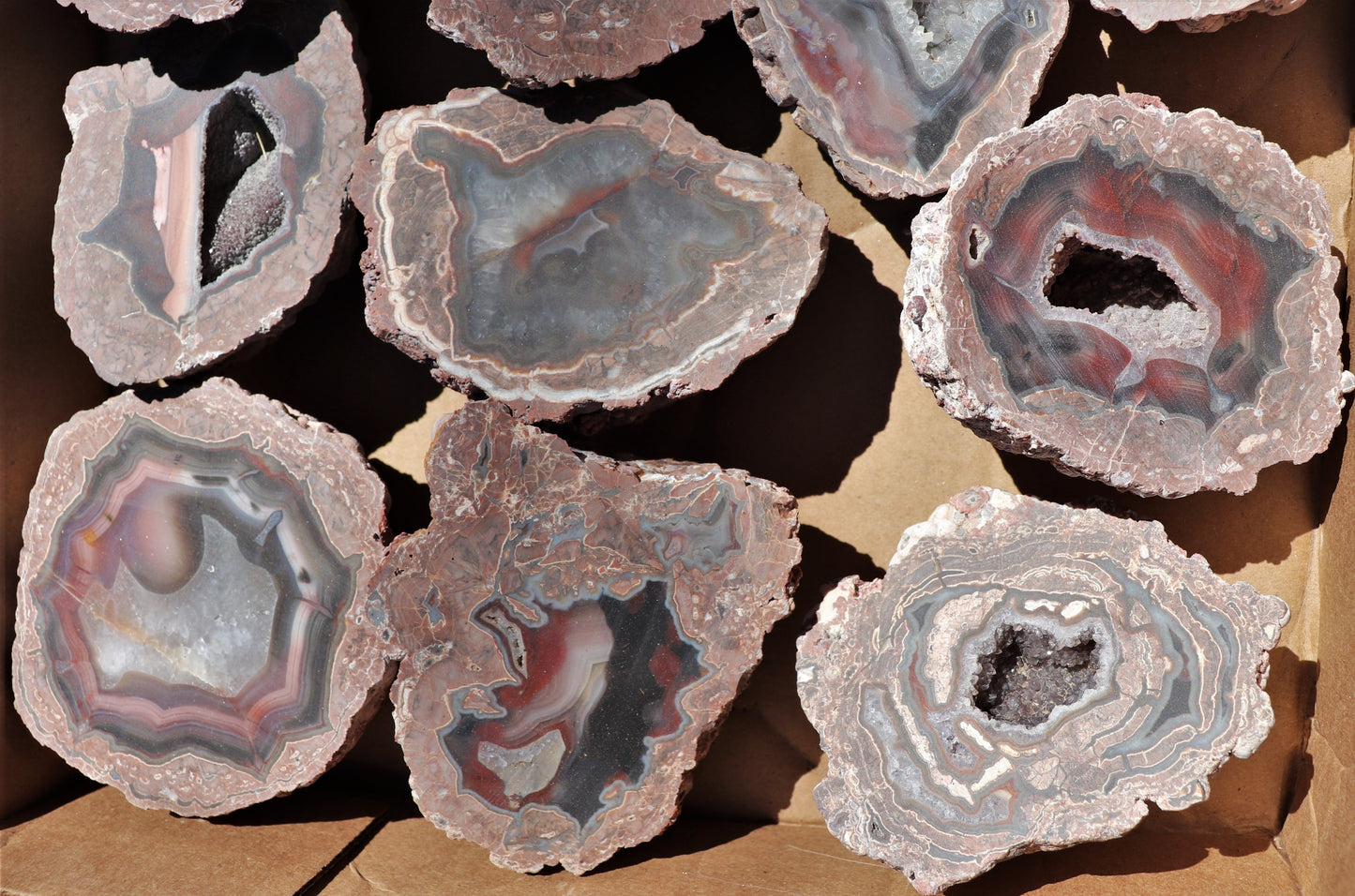 18 count flat of $45 Deming thunderegg halves