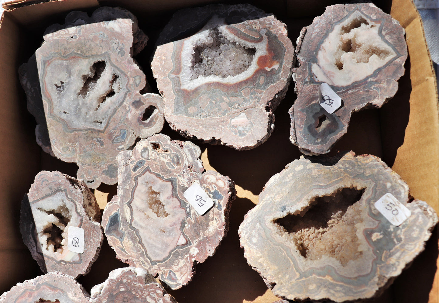 12 count flat of $50 Baker Ranch thunderegg halves