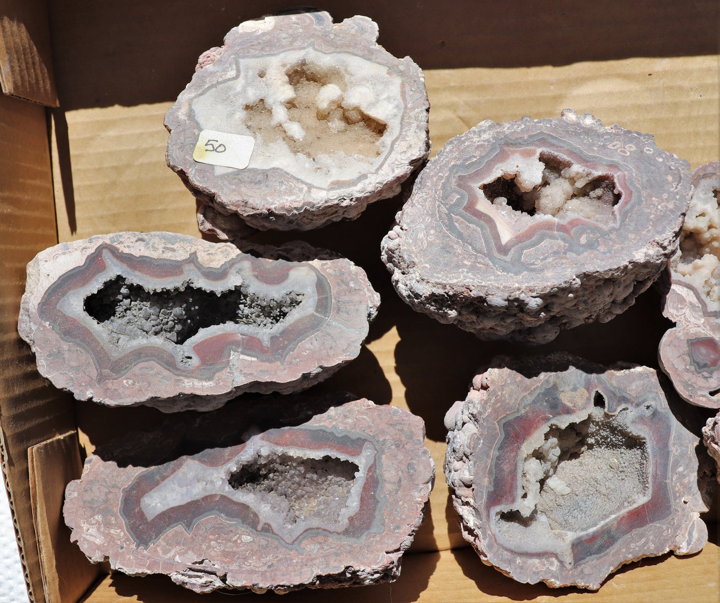 8 count flat of $50 Baker Ranch thunderegg halves