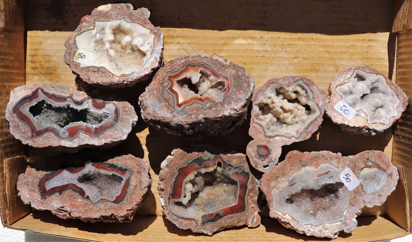 8 count flat of $50 Baker Ranch thunderegg halves