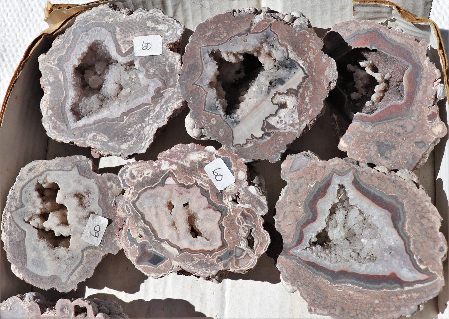 10 count flat of $60 Baker Ranch thunderegg halves