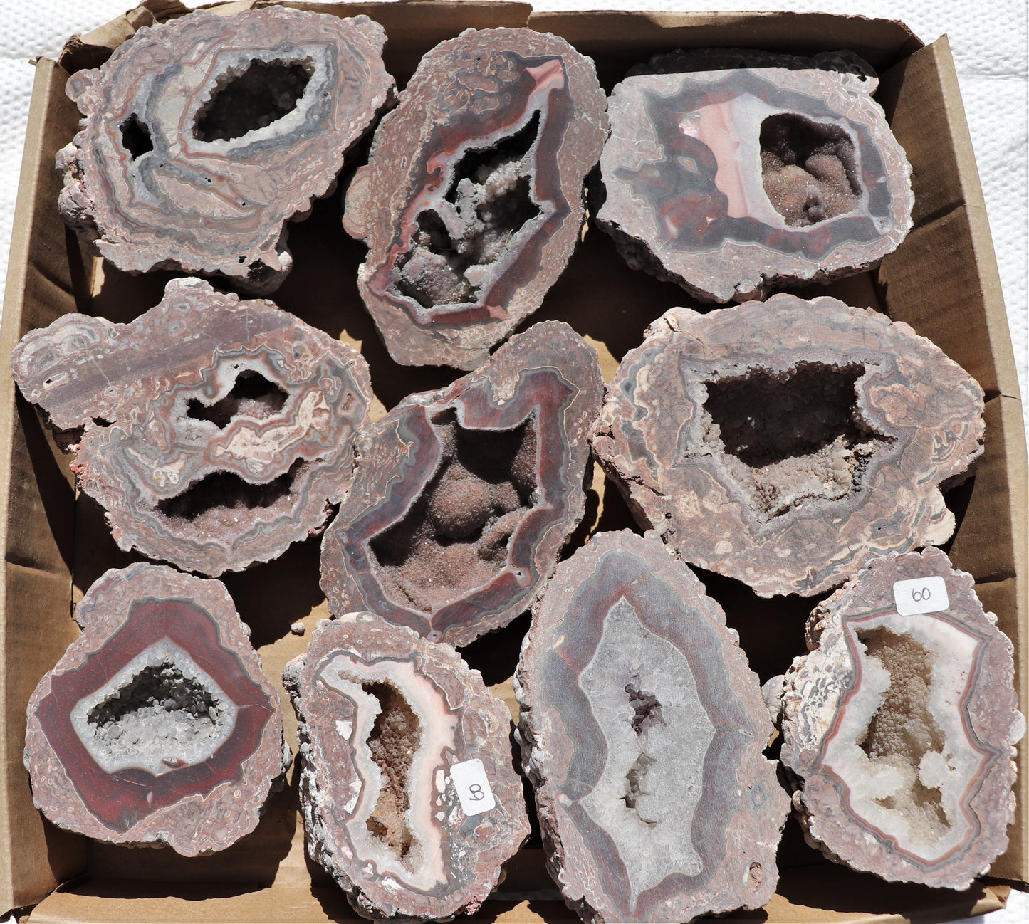 10 count flat of $60 Baker Ranch thunderegg halves