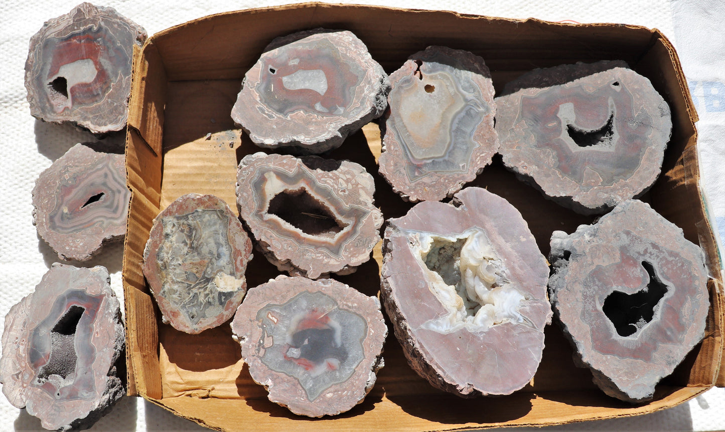 11 count flat of $60 Deming thunderegg halves