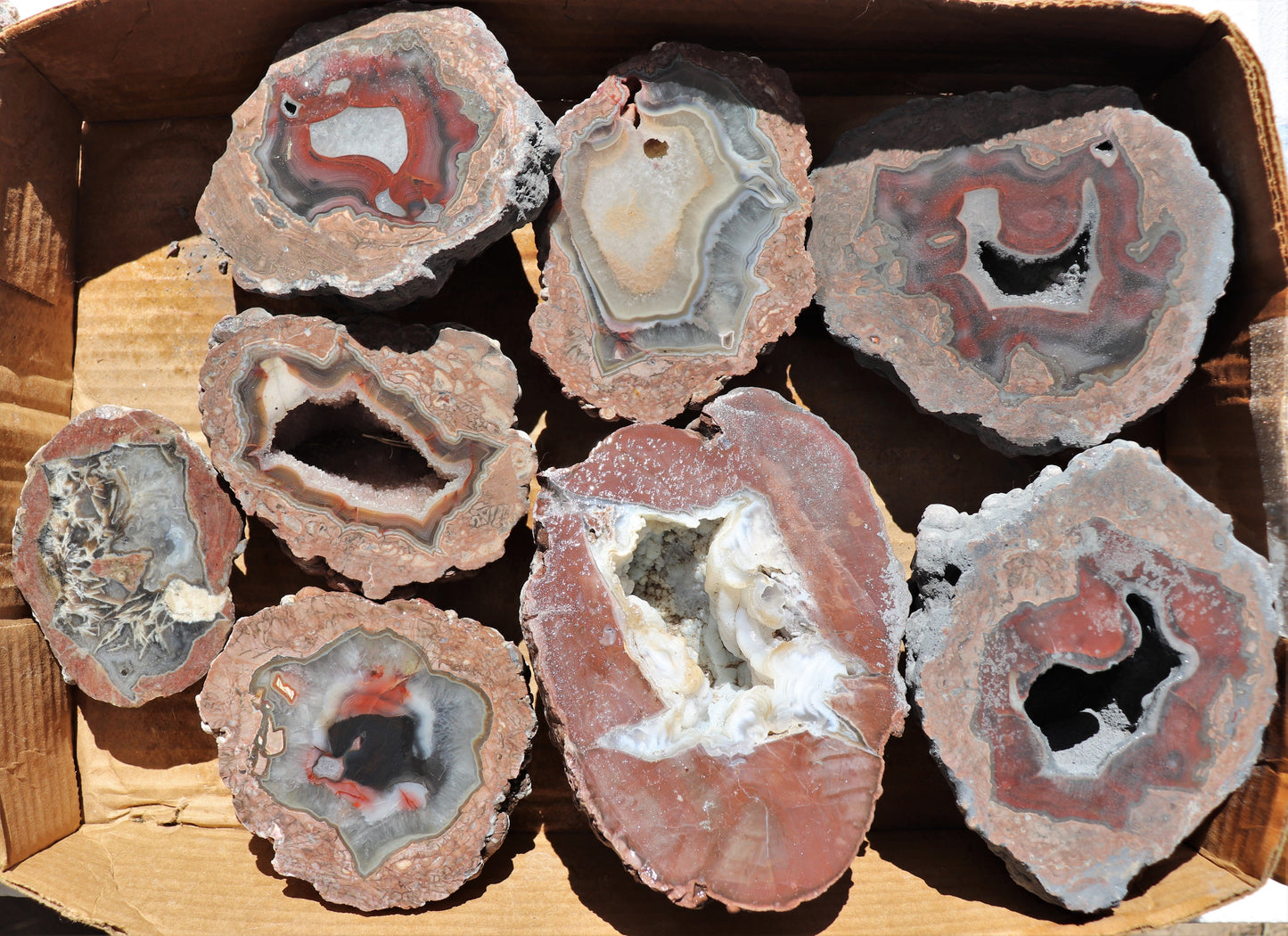 11 count flat of $60 Deming thunderegg halves