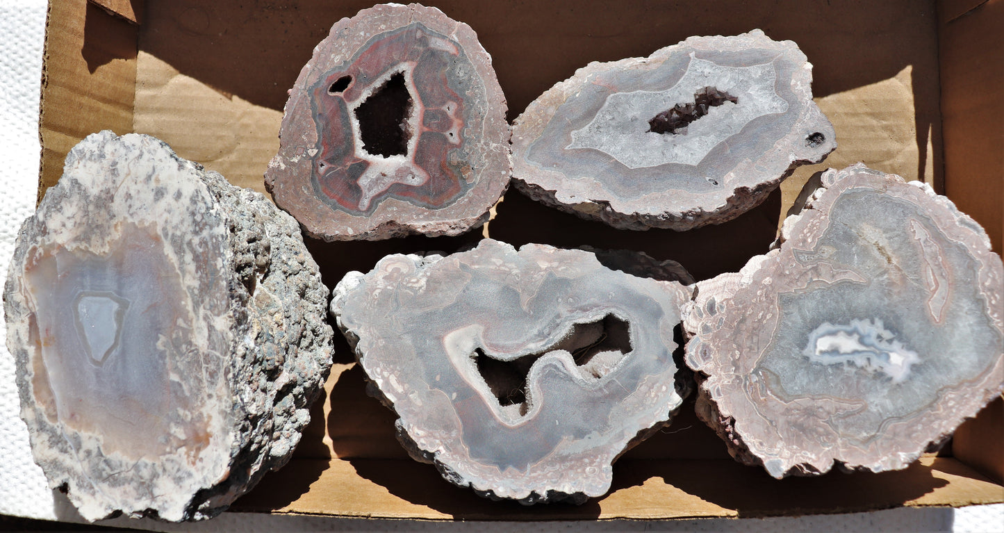 5 count flat of $70 Deming thunderegg halves