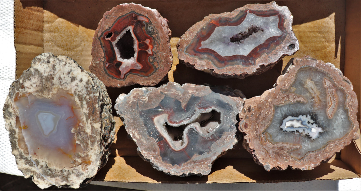 5 count flat of $70 Deming thunderegg halves