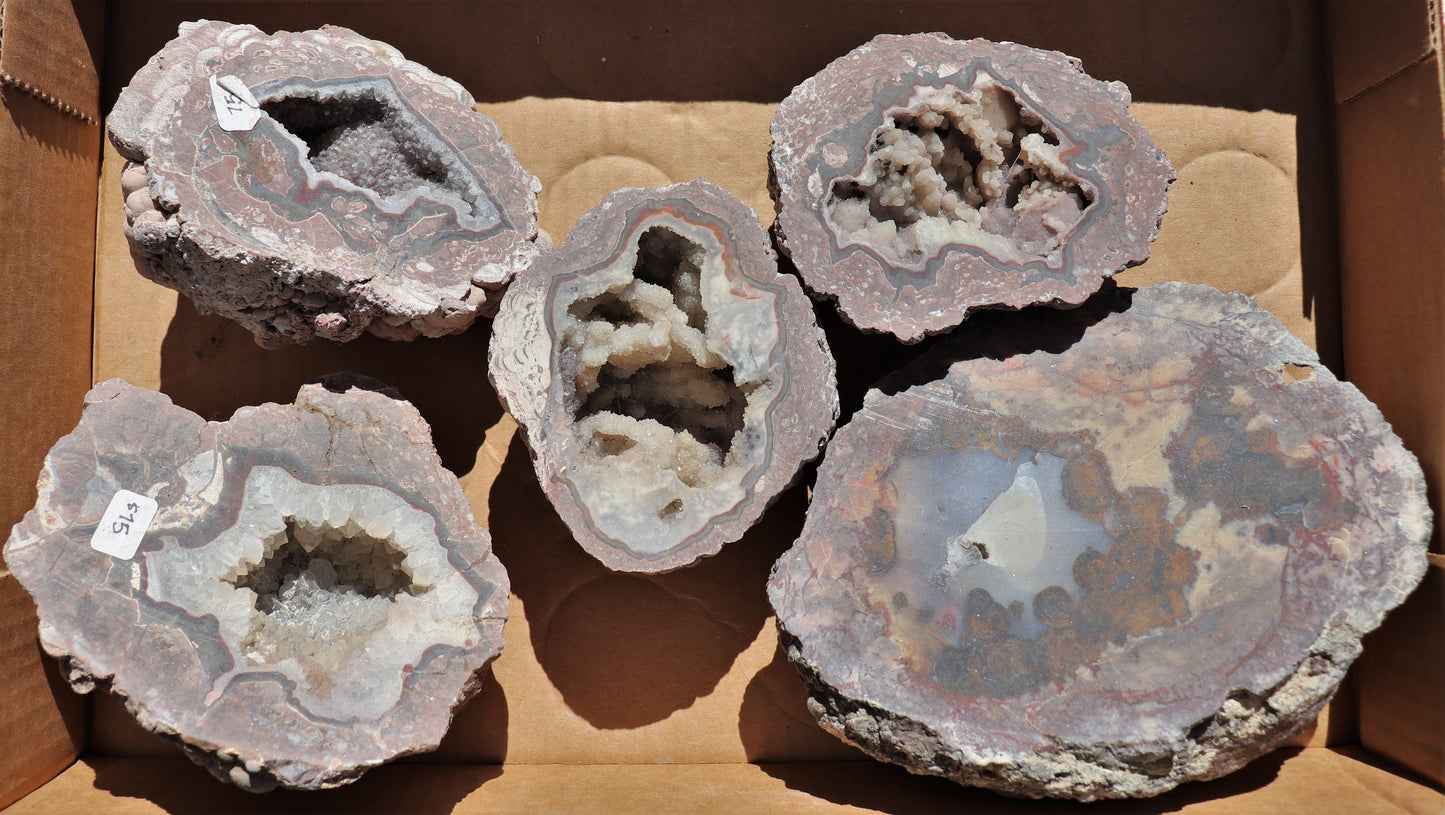 5 count flat of $75 Deming thunderegg halves