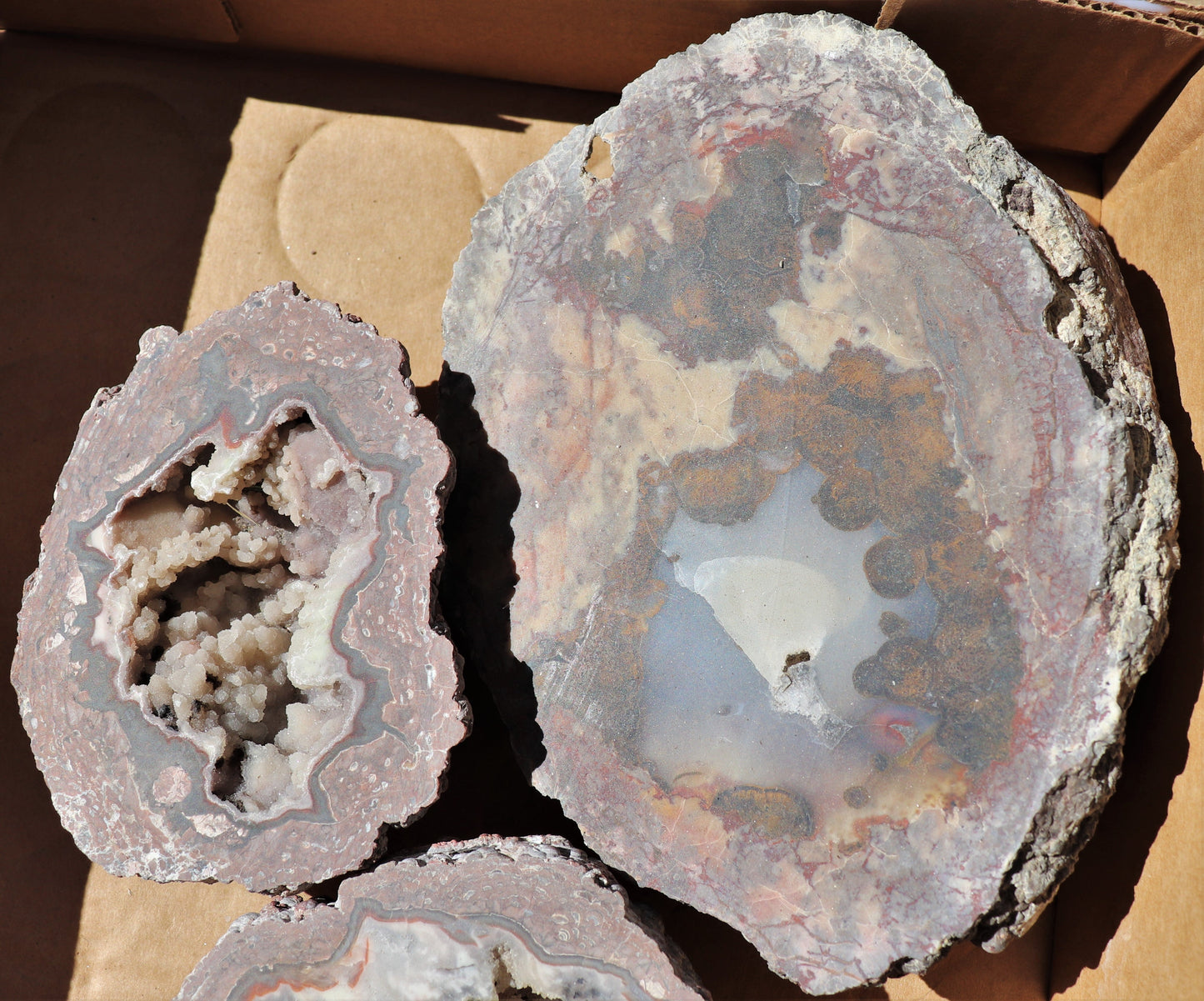 5 count flat of $75 Deming thunderegg halves