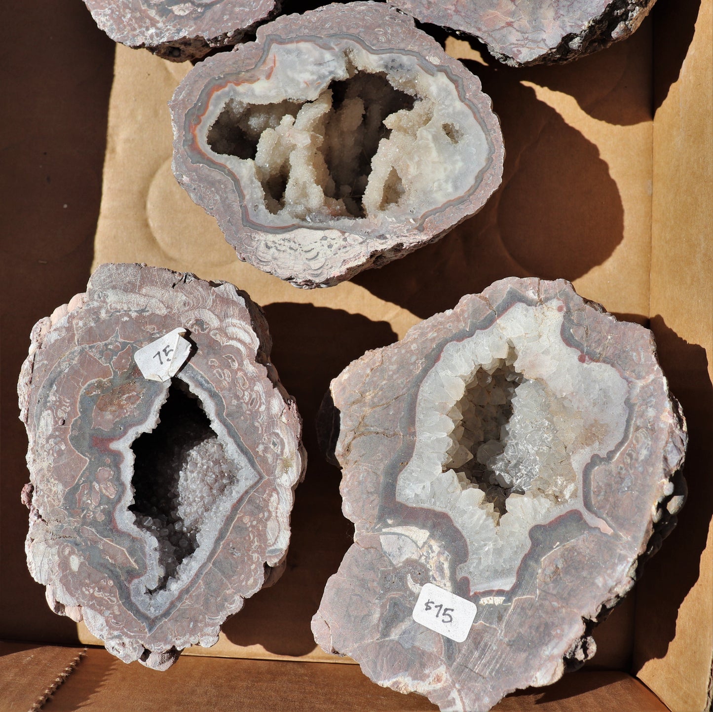 5 count flat of $75 Deming thunderegg halves