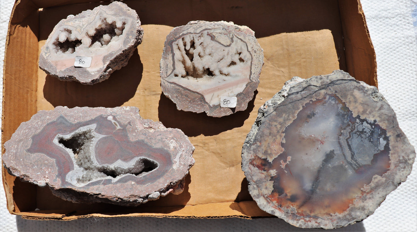 4 count flat of $80 Deming thunderegg halves