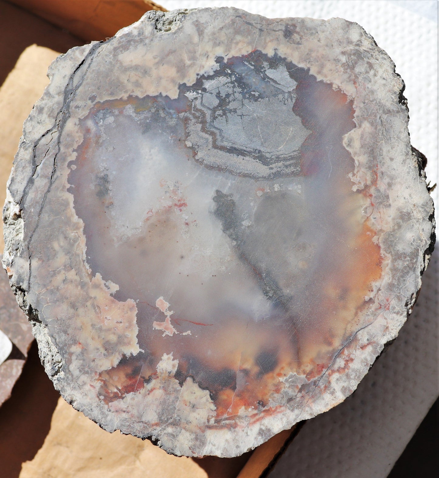 4 count flat of $80 Deming thunderegg halves