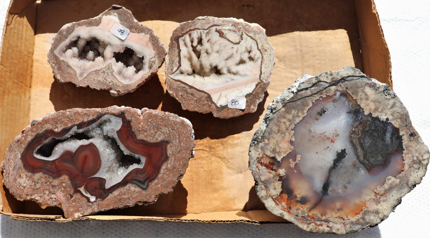 4 count flat of $80 Deming thunderegg halves