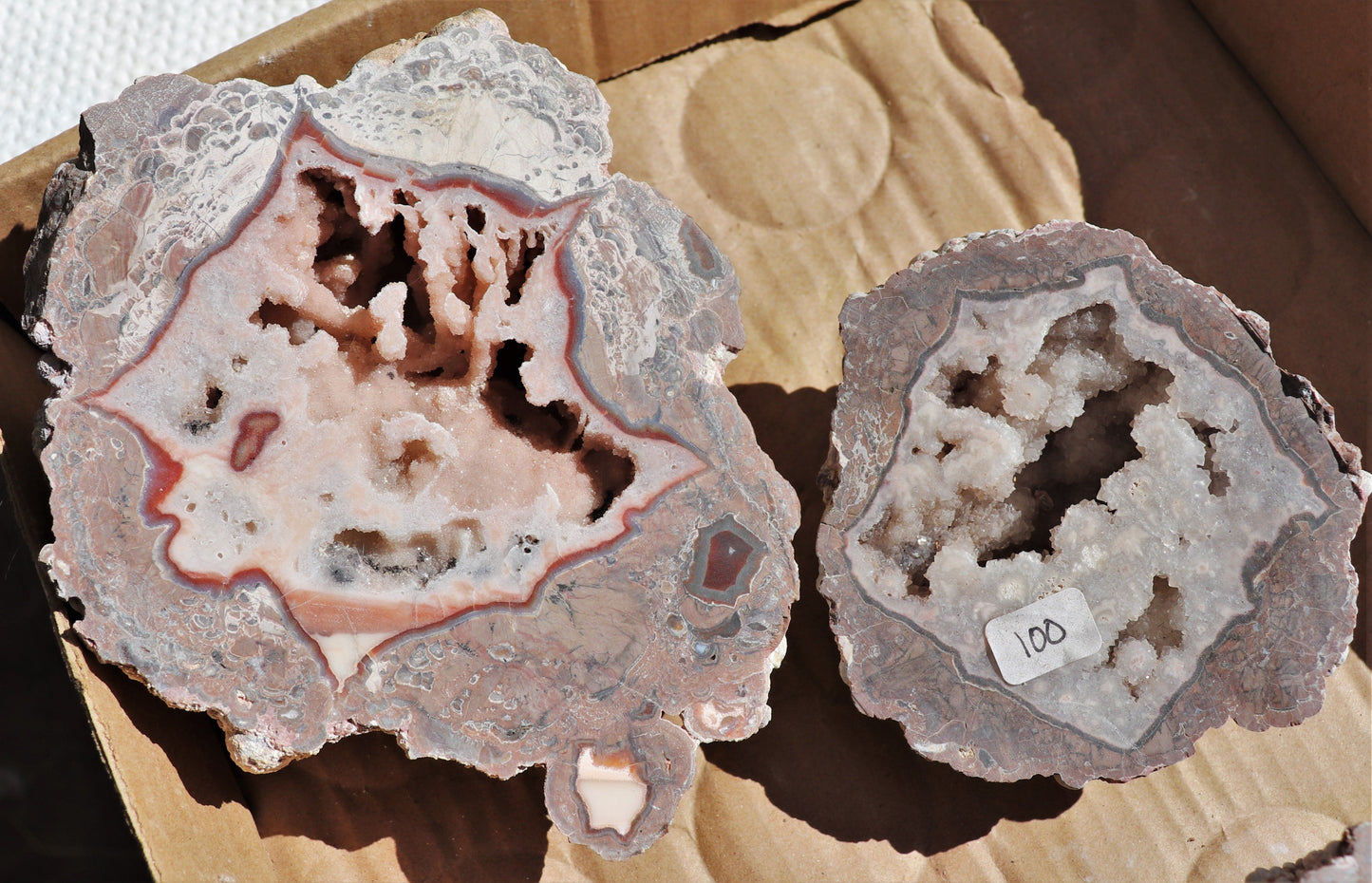 4 count flat of $100 Baker Ranch thunderegg halves