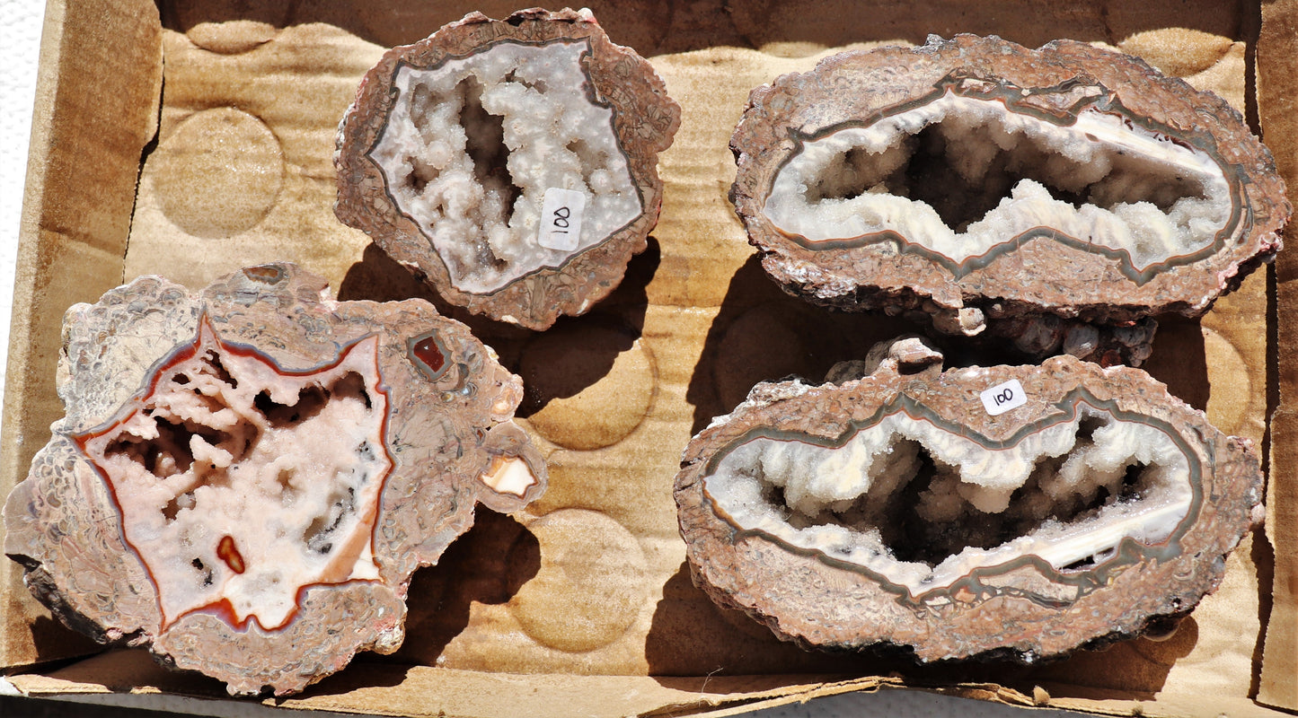 4 count flat of $100 Baker Ranch thunderegg halves