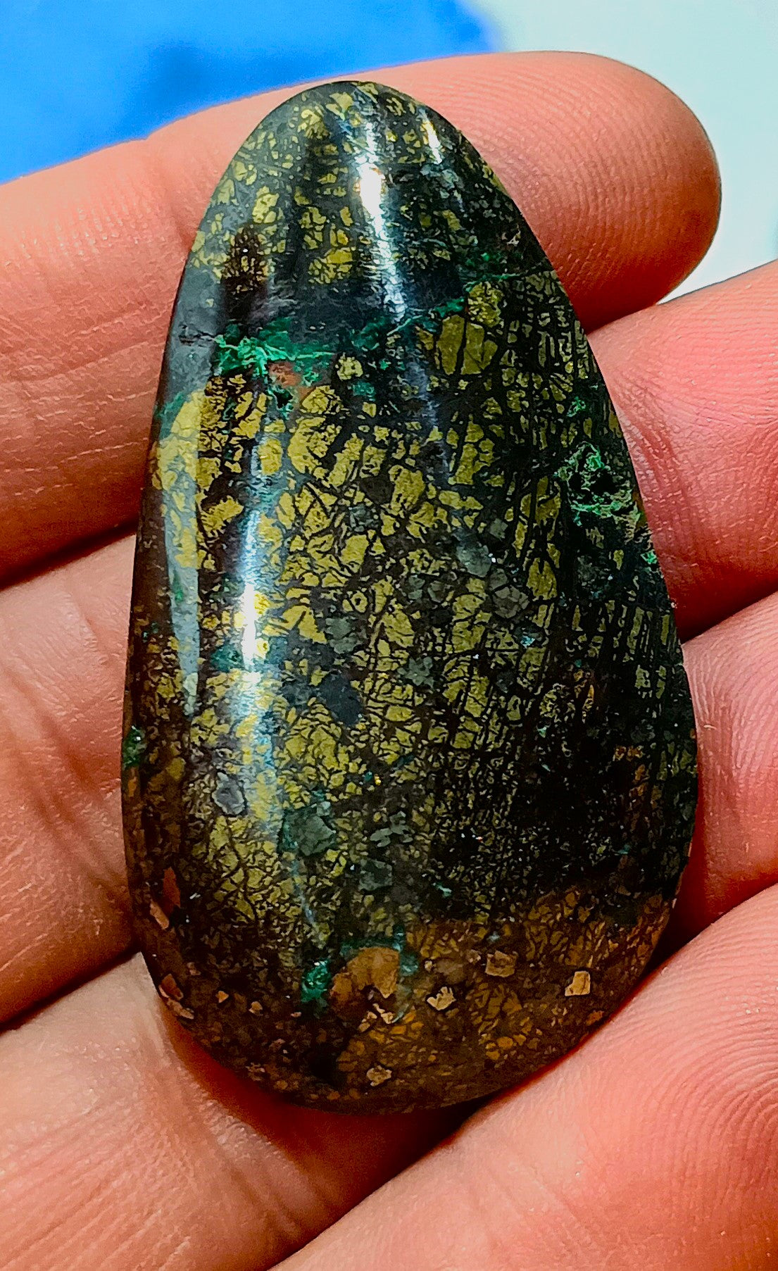 Chalcopyrite Tenorite Malachite Fluorite Cabochon