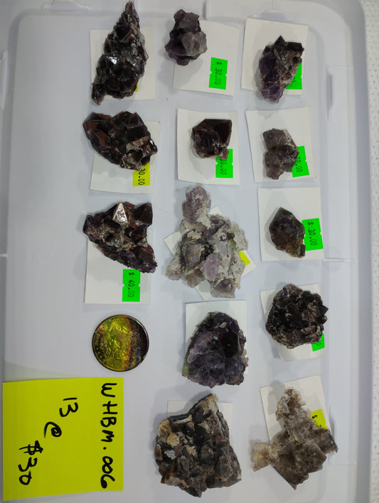 Full Flat of $30 Amethyst Specimens (13 pcs.)